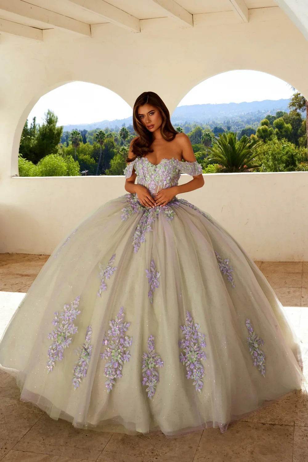 Quinceañera Dresses Collection - Rosa Apparel