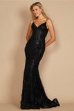 Dylan & Davids Fitted Long Formal Dress DD1238