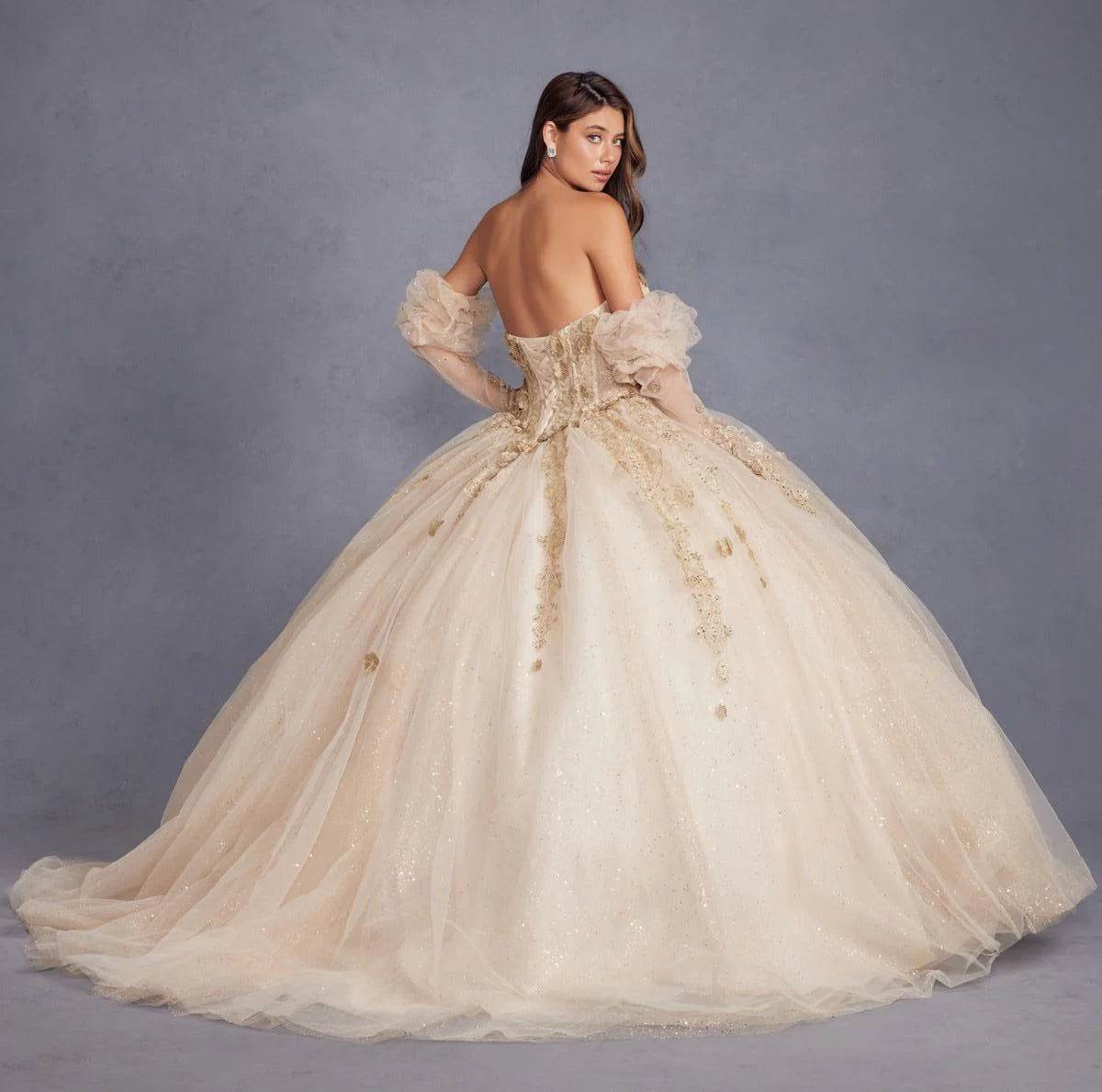Juliet 3D Floral Puff Sleeve Ball Gown JT1465H - Rosa Apparel