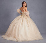 Juliet 3D Floral Puff Sleeve Ball Gown JT1465H - Rosa Apparel
