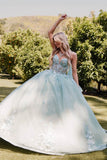 Juliet 3D Multi Floral Applique and Cape Sleeve Quinceañera Dress JT1466H - Rosa Apparel
