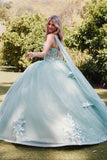 Juliet 3D Multi Floral Applique and Cape Sleeve Quinceañera Dress JT1466H - Rosa Apparel