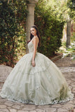 Juliet Embroidered Sleeveless Corset Quinceañera Ball Gown JT1450J - Rosa Apparel