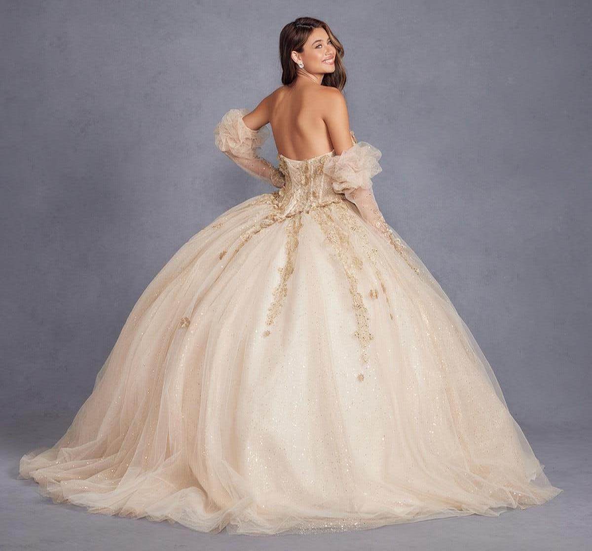 Juliet Enchanting 3D Floral Puff Sleeve Ball Gown JT1465H - Rosa Apparel