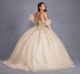 Juliet Enchanting 3D Floral Puff Sleeve Ball Gown JT1465H - Rosa Apparel
