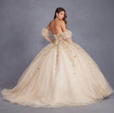 Juliet Enchanting 3D Floral Puff Sleeve Ball Gown JT1465H - Rosa Apparel