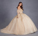 Juliet Enchanting 3D Floral Puff Sleeve Ball Gown JT1465H - Rosa Apparel