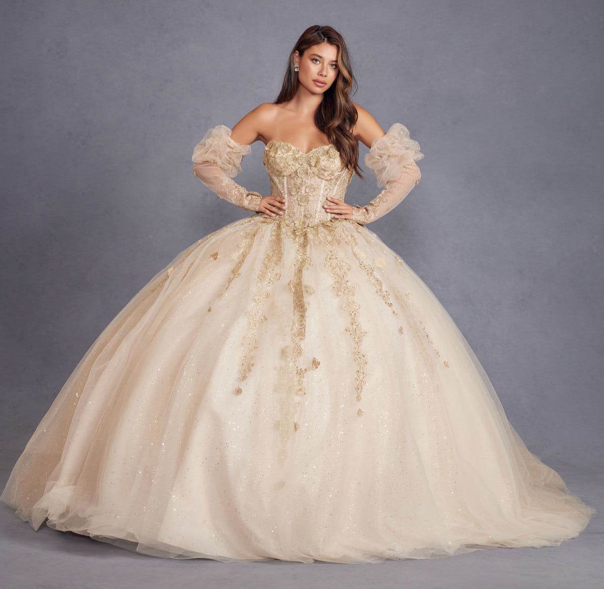 Juliet Enchanting 3D Floral Puff Sleeve Ball Gown JT1465H - Rosa Apparel