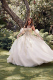Juliet Enchanting 3D Floral Puff Sleeve Ball Gown JT1465H - Rosa Apparel