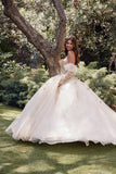 Juliet Enchanting 3D Floral Puff Sleeve Ball Gown JT1465H - Rosa Apparel