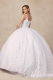 Juliet Floral Applique Quinceanera Ball Gown with 3D Flowers - 1437W - Rosa Apparel