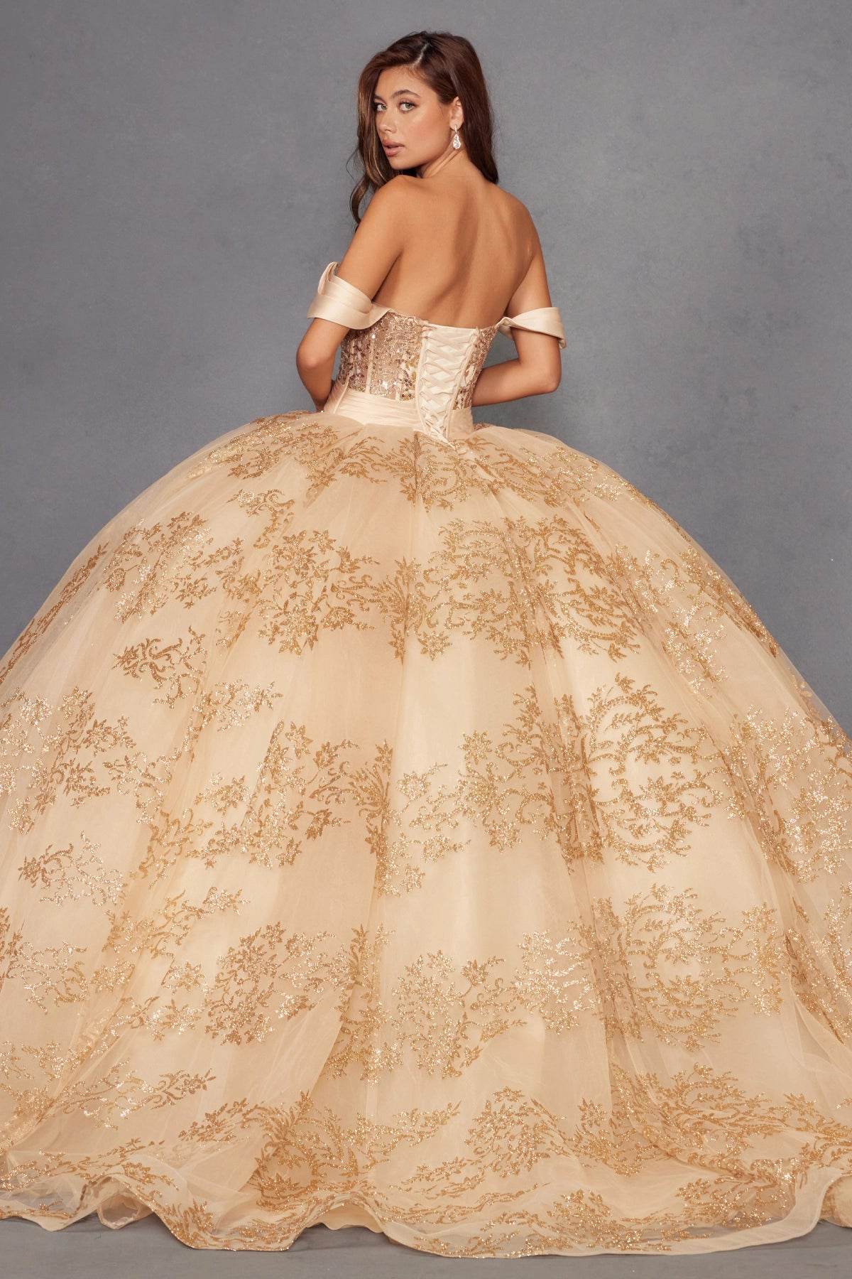 Juliet Off-Shoulder Embroidered Quinceanera Ball Gown - JT1488H - Rosa Apparel