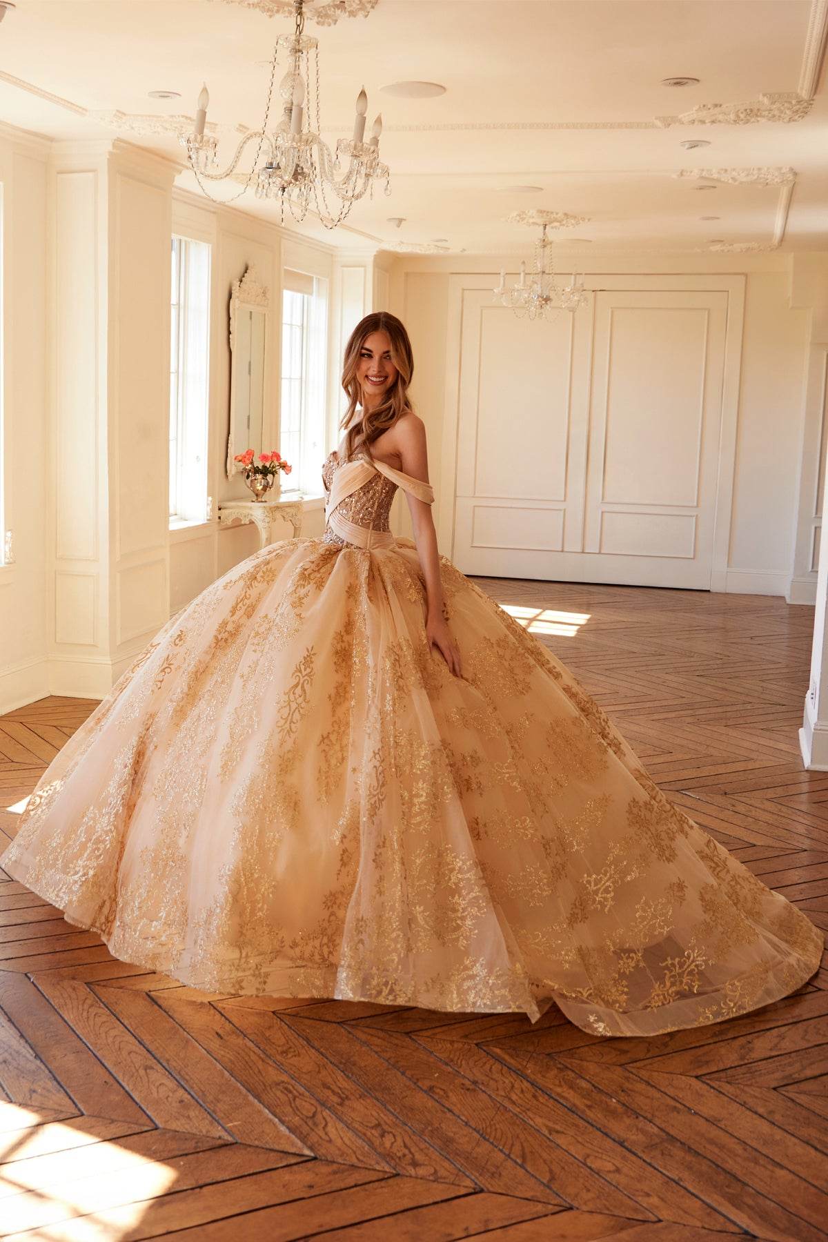 Juliet Off-Shoulder Embroidered Quinceanera Ball Gown - JT1488H - Rosa Apparel