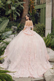 Juliet Off-The-Shoulder Embroidery Back Bow Quinceanera Ball Gown - JT1458J - Rosa Apparel