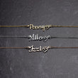 Personalized_Dog_Mom_Necklace_Gift_for_Pet_Lovers_Made_in_USA_Mockups_File.jpg_15796897